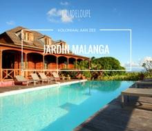 jardin malanga guadeloupe