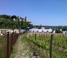 odalys-clos-saint-michel-chinon-220x190.jpg