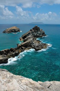 pointe des chateaux guadeloupe