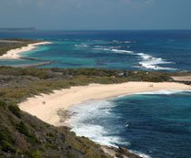 pointe des chateaux guadeloupe