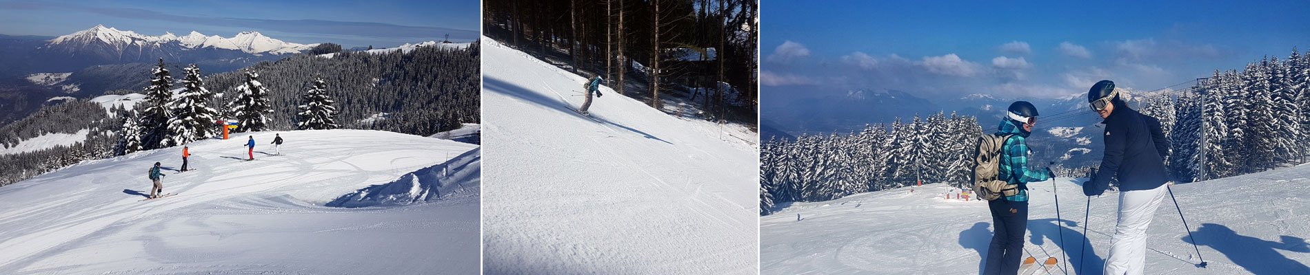 	 cgh-chalets-de-leana-les-carroz-le-grand-massif-het-frankrijk-hui