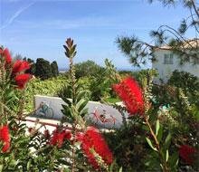 le clos saint paul corse corsica balagne