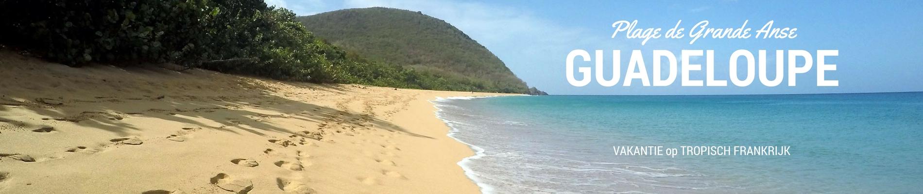 guadeloupe banner 1900x400