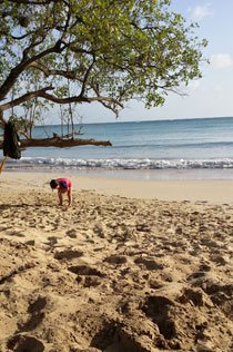 plage salines martinique