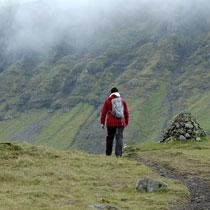 papagaaiduiker faroer eilanden ijsland tours