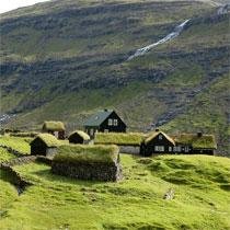 papagaaiduiker faroer eilanden ijsland tours