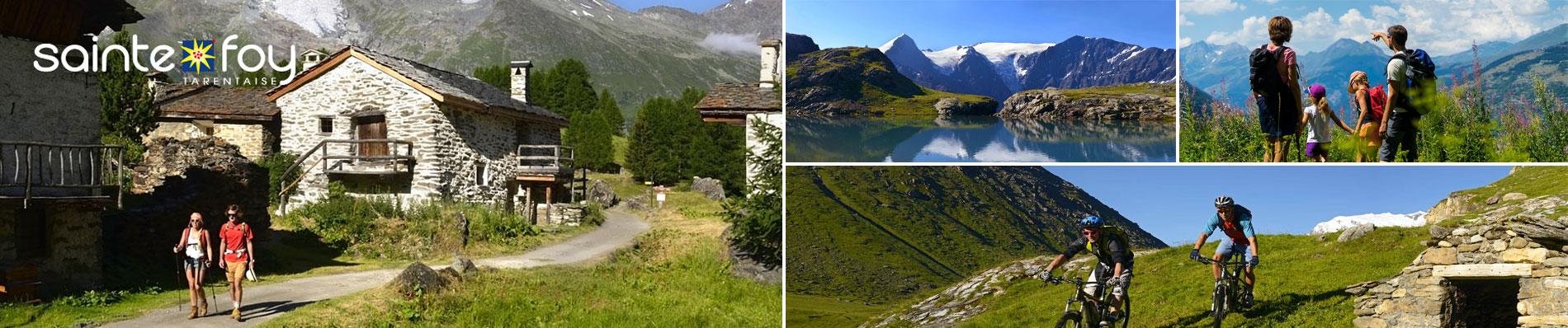 zomer vakantie alpen sainte foy