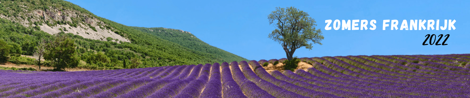 villa zwembad frankrijk zomervakantie cote d azur provence